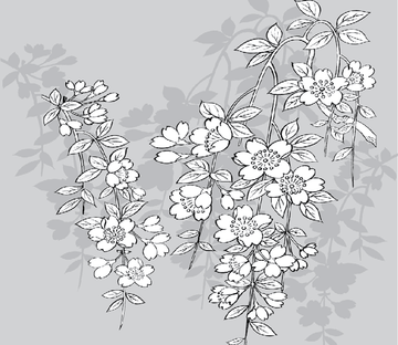 Graceful White Flowers Wallpaper AJ Wallpaper 