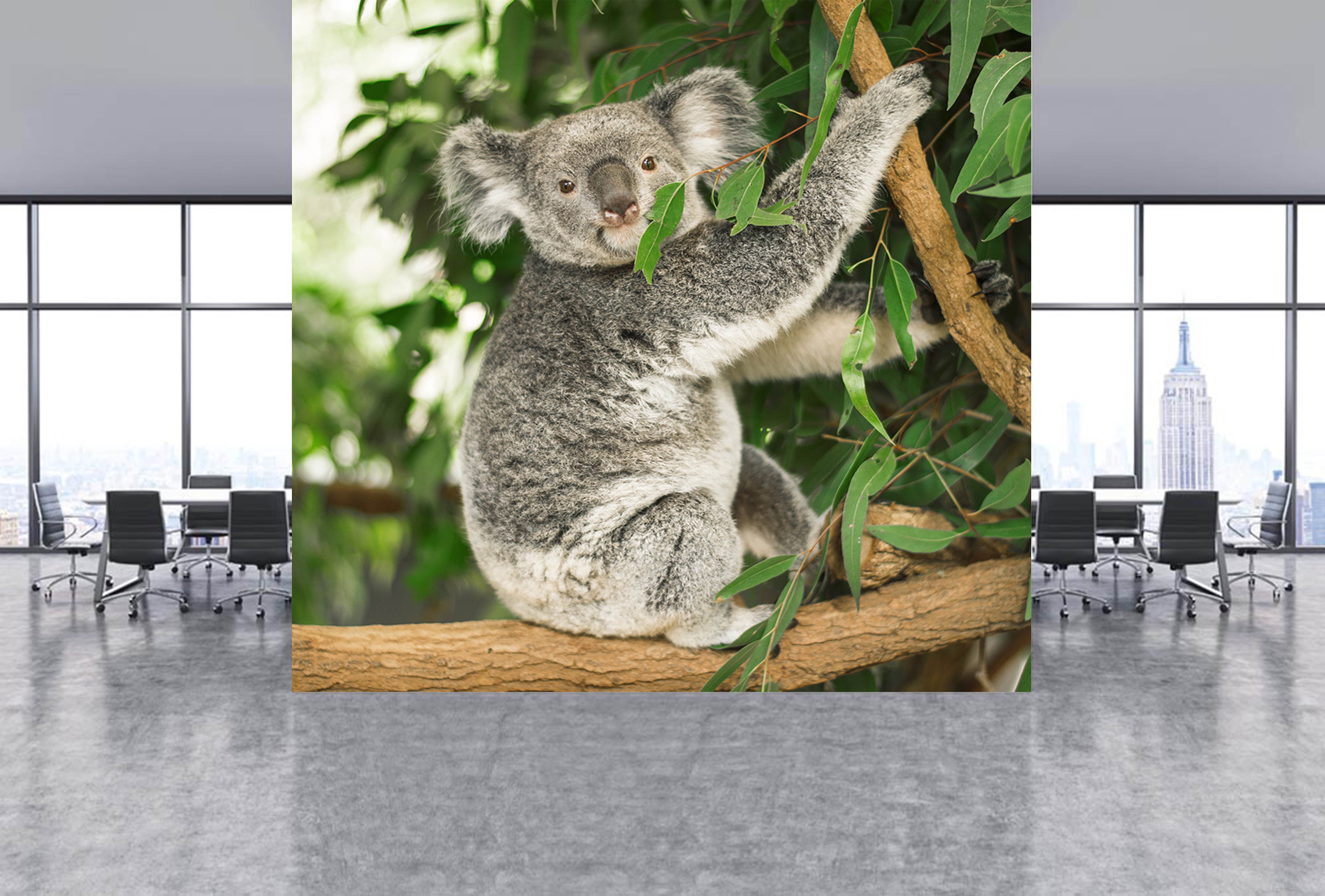 3D Koala Leaves 309 Wall Murals