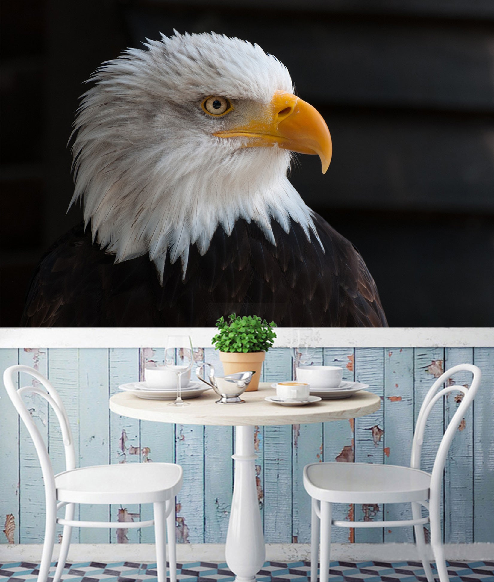 3D White Eagle 138 Wall Murals