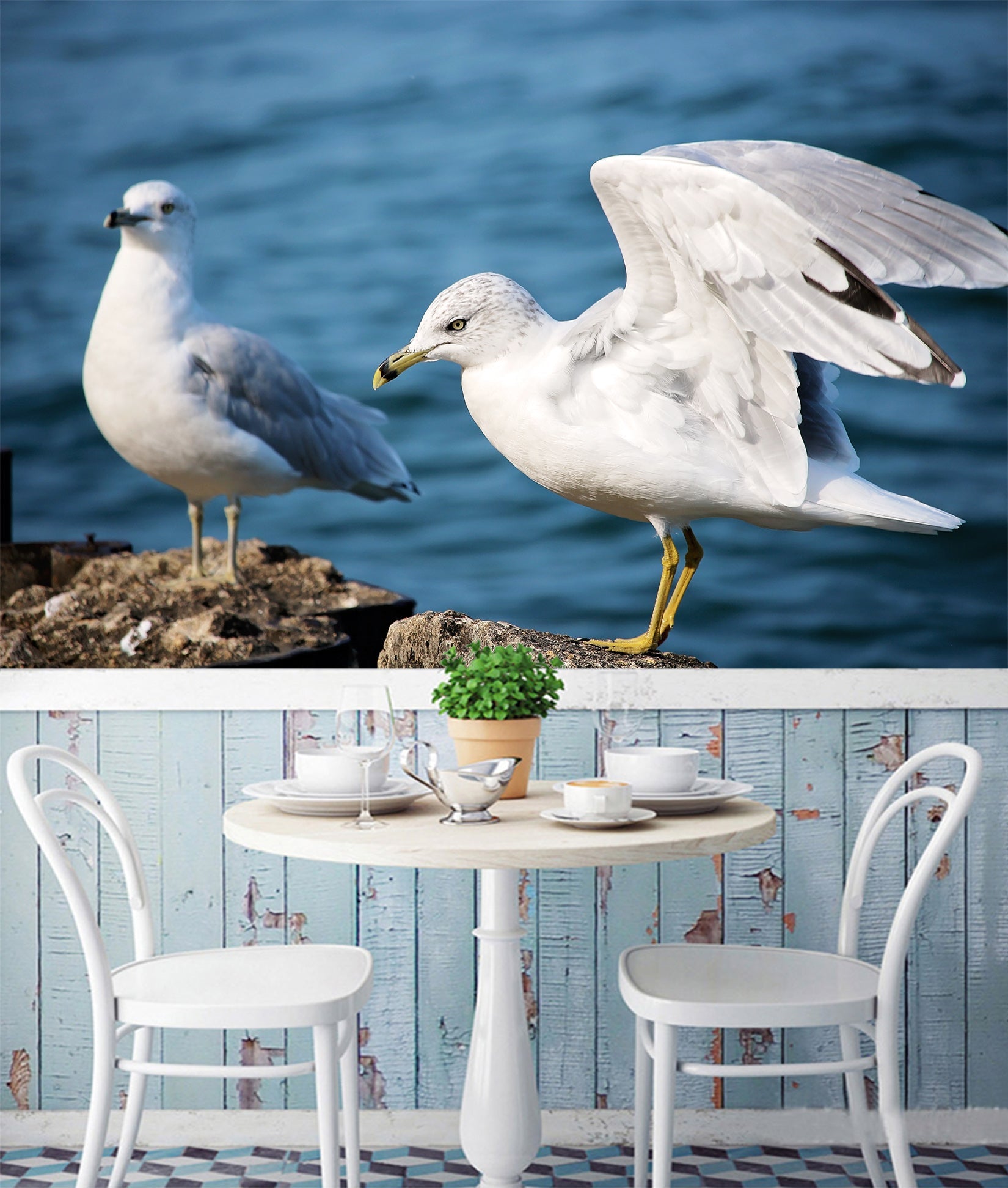 3D Seagull 025 Wall Murals Wallpaper AJ Wallpaper 2 