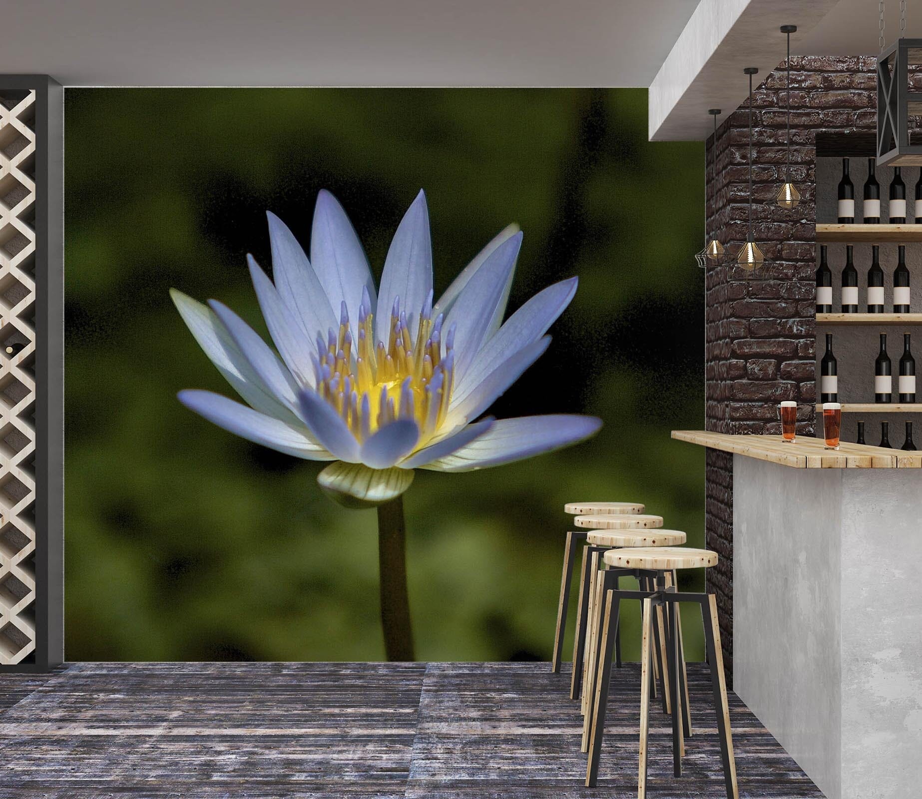 3D Lavendar Water Lily 115 Kathy Barefield Wall Mural Wall Murals Wallpaper AJ Wallpaper 2 