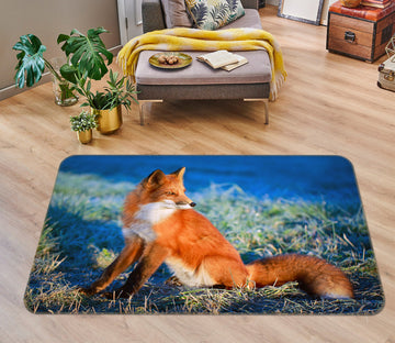 3D Fox 38101 Animal Non Slip Rug Mat