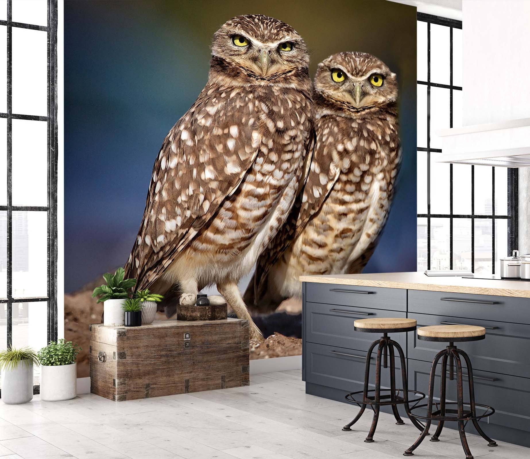 3D Burrowing Owl Buddies 105 Kathy Barefield Wall Mural Wall Murals Wallpaper AJ Wallpaper 2 