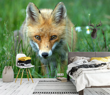 3D Steppe Fox 2006 Wall Murals