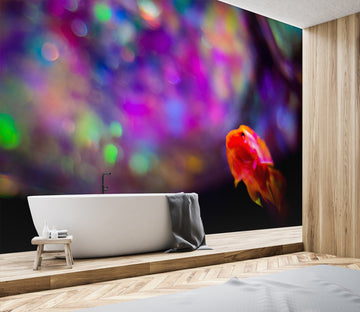 3D Colored Lights 101 Noirblanc777 Wall Mural Wall Murals Wallpaper AJ Wallpaper 2 