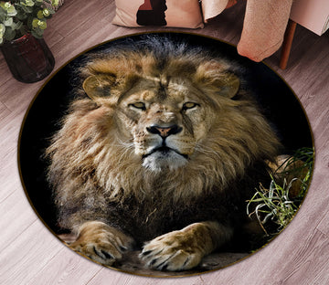 3D Lion King 37240 Animal Round Non Slip Rug Mat