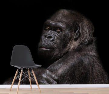 3D Black Orangutan 154 Wall Murals