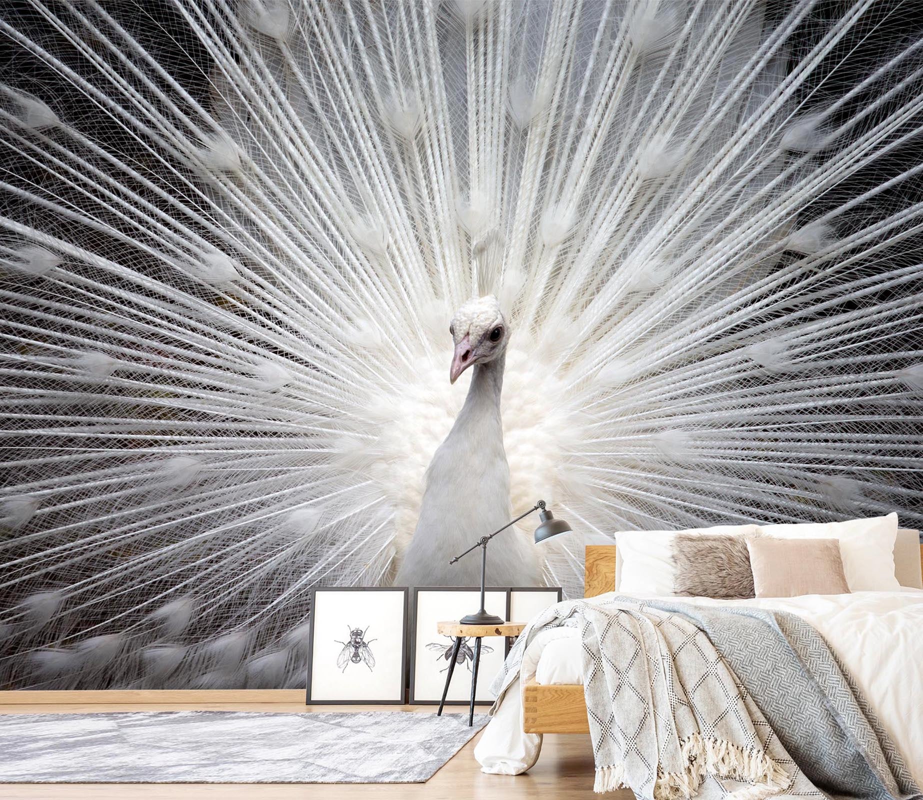 3D White Peacock 408 Wall Murals