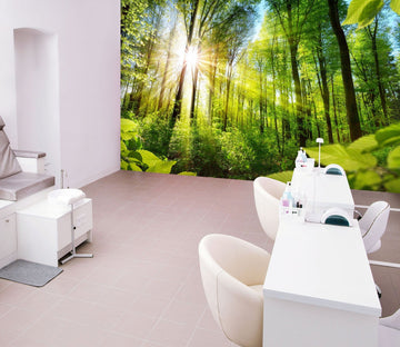 3D Green Forest 385 Wall Murals Wallpaper AJ Wallpaper 2 