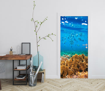 3D Coral Fish 23183 Door Mural