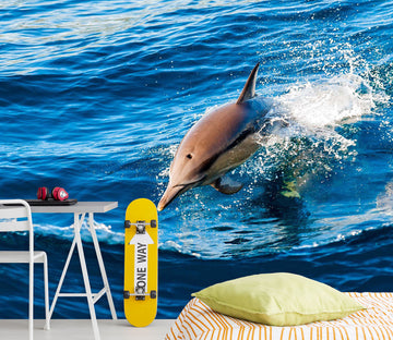 3D Happy Dolphin 2030 Wall Murals