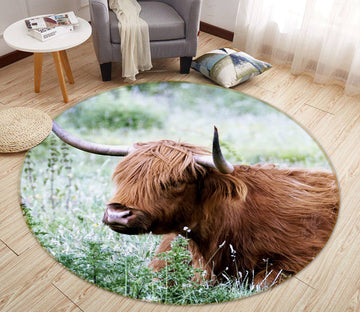 3D Desirable 81286 Animal Round Non Slip Rug Mat