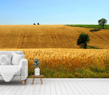 3D Yellow Wheat Field 1492 Wall Murals Wallpaper AJ Wallpaper 2 