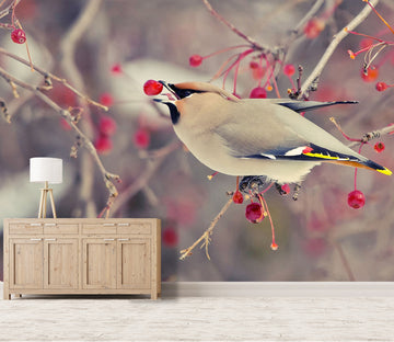 3D Magpie Cherry 231 Wall Murals