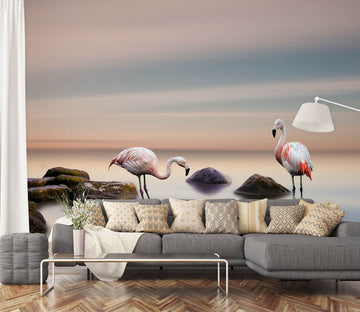 3D Flamingo Stones 1140 Wall Murals