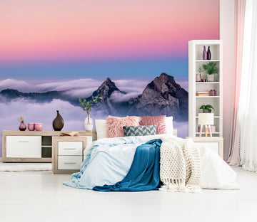 3D Mountain Stone 58071 Wall Murals