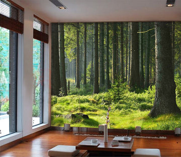 3D Sunny Forest 1041 Wall Murals