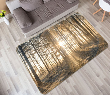 3D Sunlight Forest 83262 Assaf Frank Rug Non Slip Rug Mat