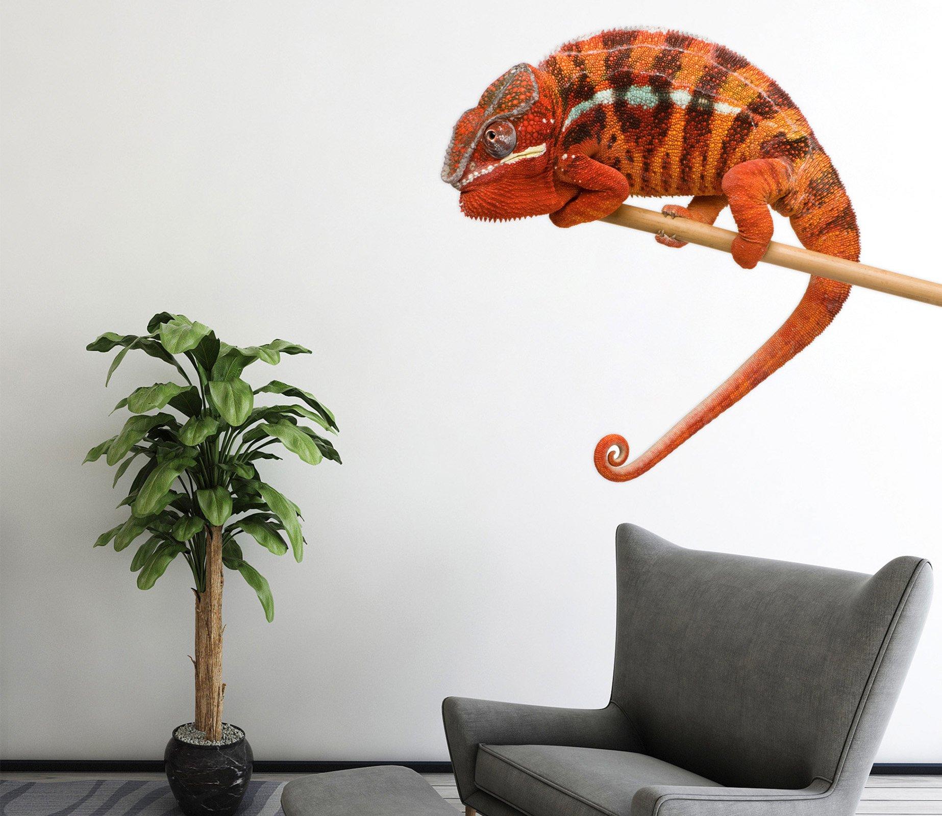 3D Chameleon 019 Animals Wall Stickers Wallpaper AJ Wallpaper 