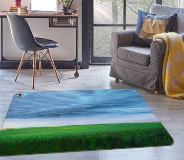 3D Grass Sky 18111 Marina Zotova Rug Non Slip Rug Mat