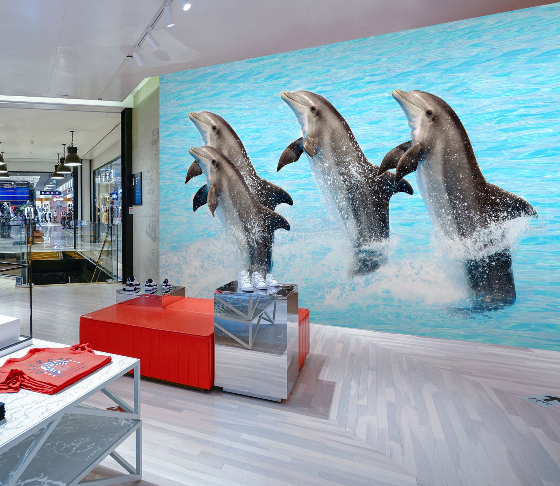 3D Dolphin Jumping 101 Wall Murals