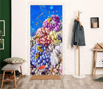 3D Coral 24097 Door Mural