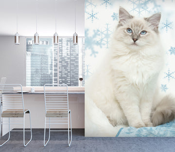 3D Kitten Snowflake 113 Wall Murals