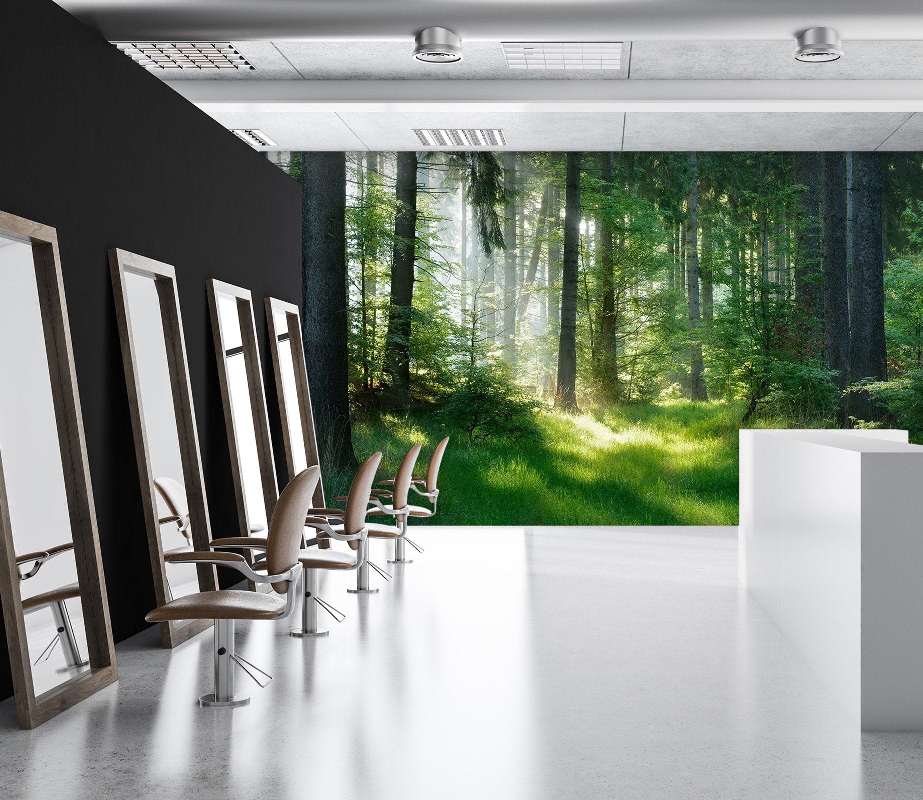 3D Forest Sun 71 Wall Murals Wallpaper AJ Wallpaper 2 