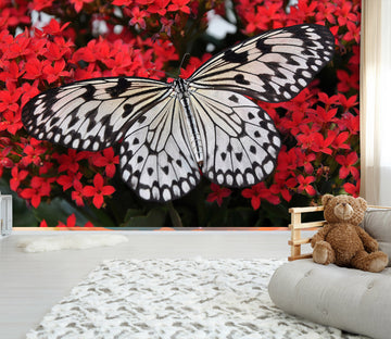 3D Black Butterfly 145 Wall Murals