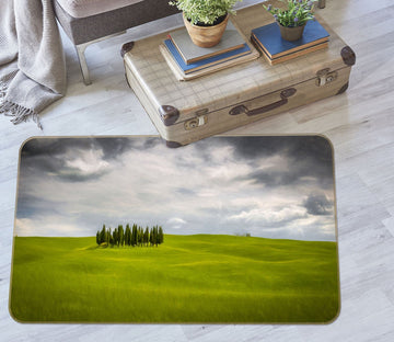 3D Green Grassland 1093 Marco Carmassi Rug Non Slip Rug Mat Mat AJ Creativity Home 