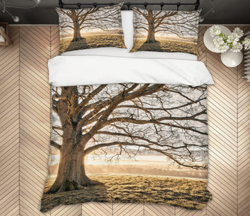 3D Sunny Dead Tree 1088 Assaf Frank Bedding Bed Pillowcases Quilt