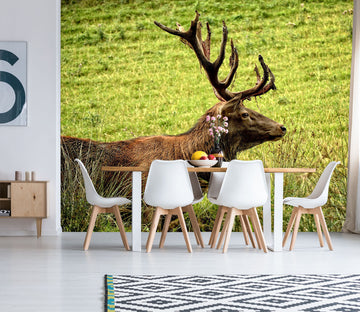 3D Pasture Deer 250 Wall Murals