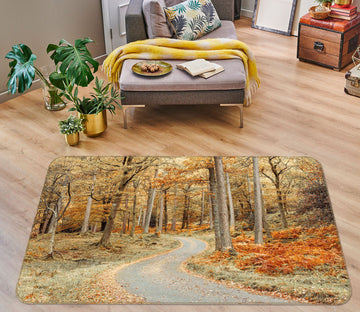 3D Maple Road 155 Assaf Frank Rug Non Slip Rug Mat