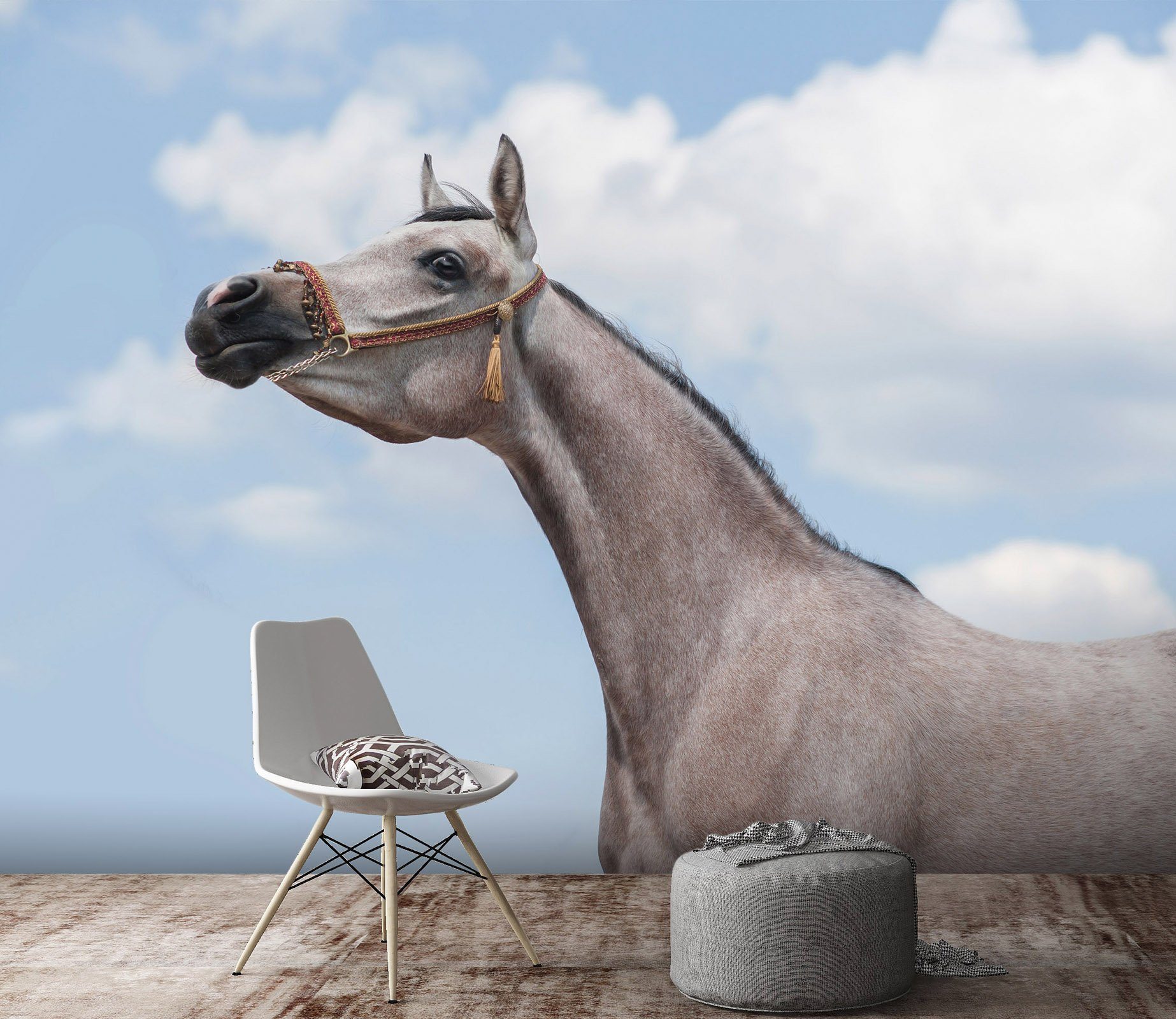 3D Lying Horse 672 Wallpaper AJ Wallpaper 