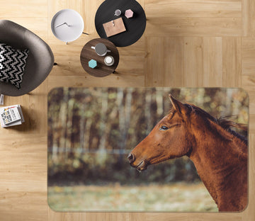 3D Horse 82067 Animal Non Slip Rug Mat