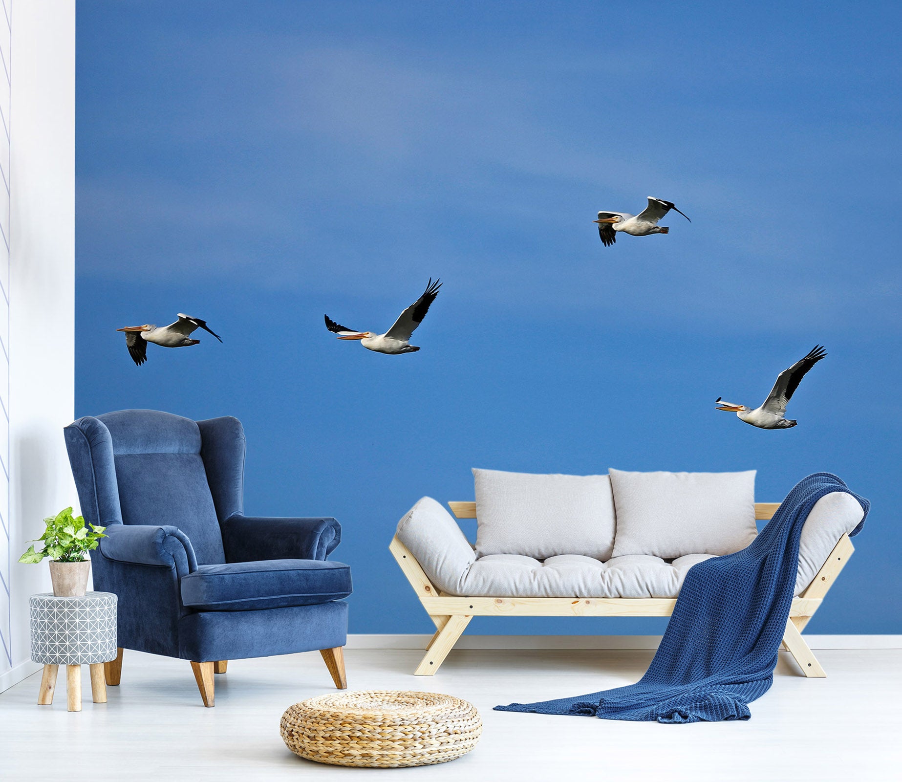 3D Seagull 11186 Kathy Barefield Wall Mural Wall Murals