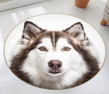 3D Husky Dog 38043 Animal Round Non Slip Rug Mat