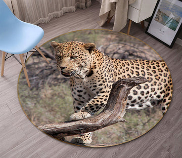 3D South African Leopard 093 Animal Round Non Slip Rug Mat Mat AJ Creativity Home 