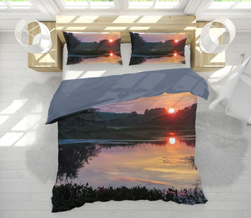 3D Sunset Marsh 1028 Jerry LoFaro bedding Bed Pillowcases Quilt