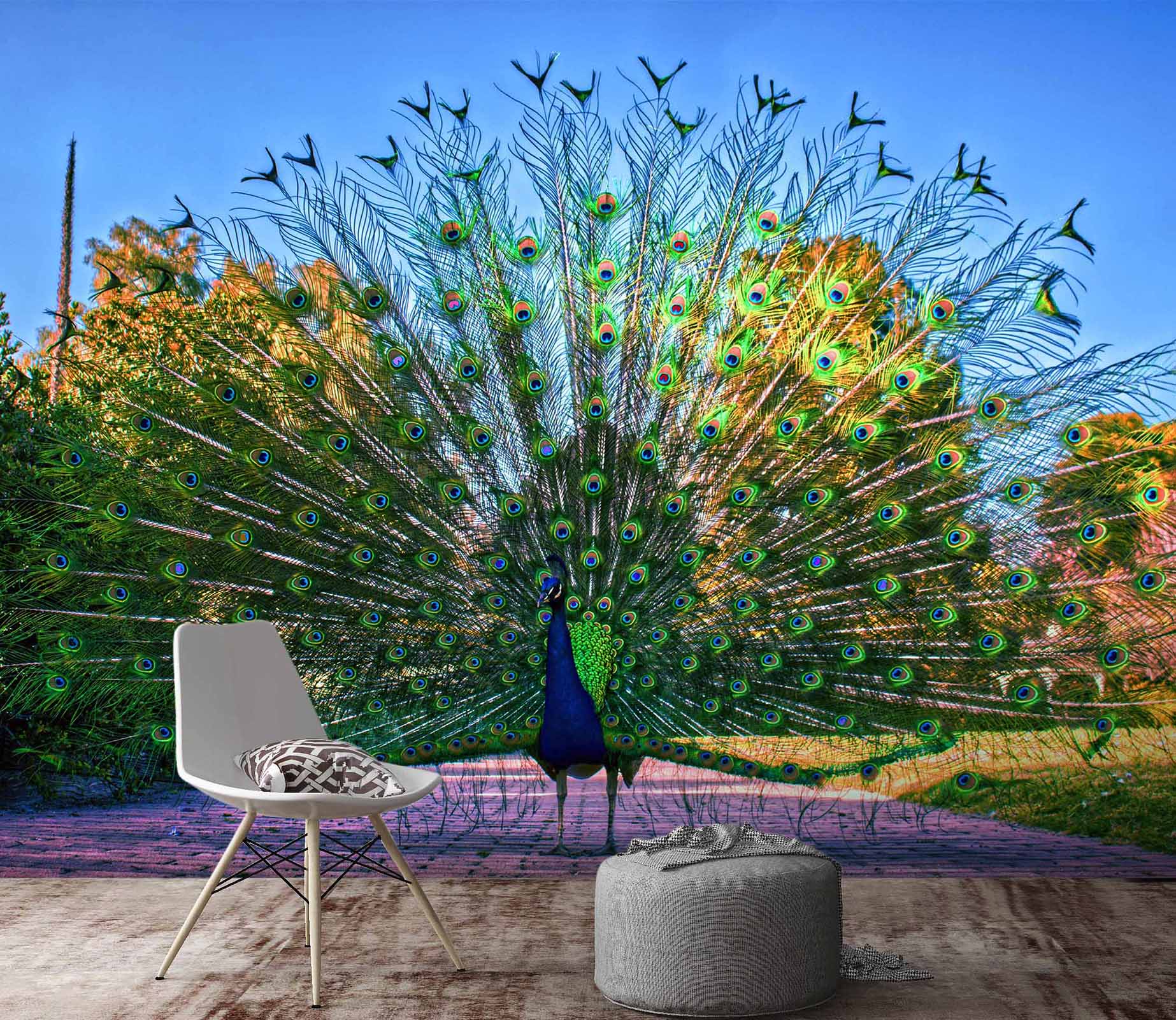 3D Peacock Opening 411 Wall Murals