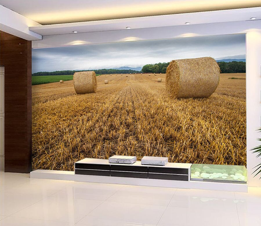 3D Golden Field 1033 Wall Murals Wallpaper AJ Wallpaper 2 