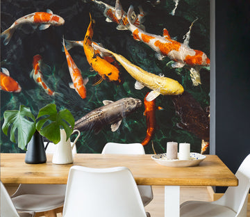 3D Koi Fish 162 Wall Murals