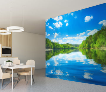 3D Sky Tree Reflection 58042 Wall Murals