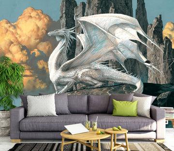 3D White Dragon Cloud Stone 7055 Ciruelo Wall Mural Wall Murals