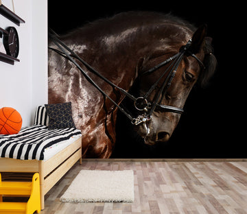 3D Horse Head 198 Wall Murals