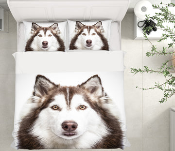 3D Husky 21005 Bed Pillowcases Quilt