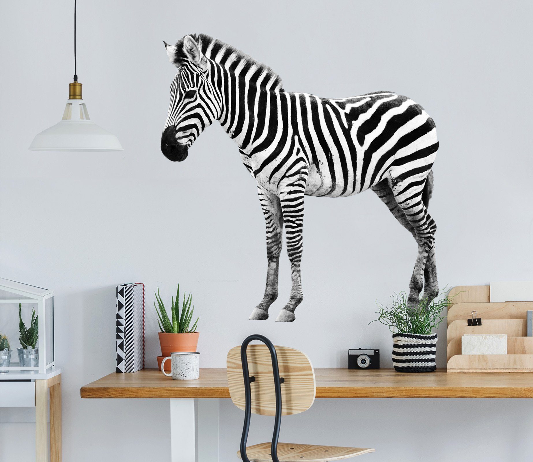 3D Standing Zebra 098 Animals Wall Stickers Wallpaper AJ Wallpaper 