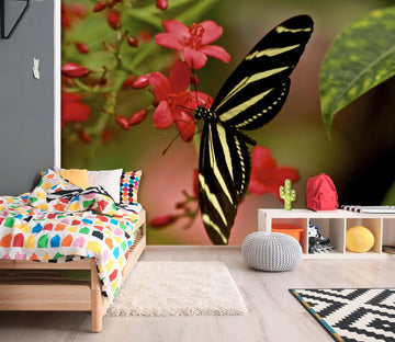 3D Butterfly Collecting Honey 133 Kathy Barefield Wall Mural Wall Murals Wallpaper AJ Wallpaper 2 