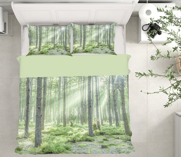 3D Woods Sunshine 8641 Assaf Frank Bedding Bed Pillowcases Quilt