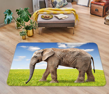 3D Grass Elephant 68177 Animal Non Slip Rug Mat